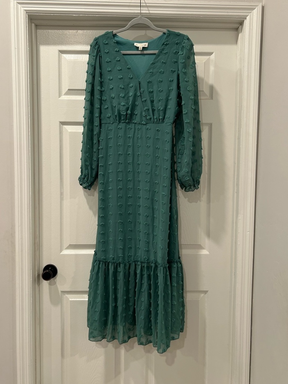 the Line of Style Green Swiss Dot Dress Size Medium